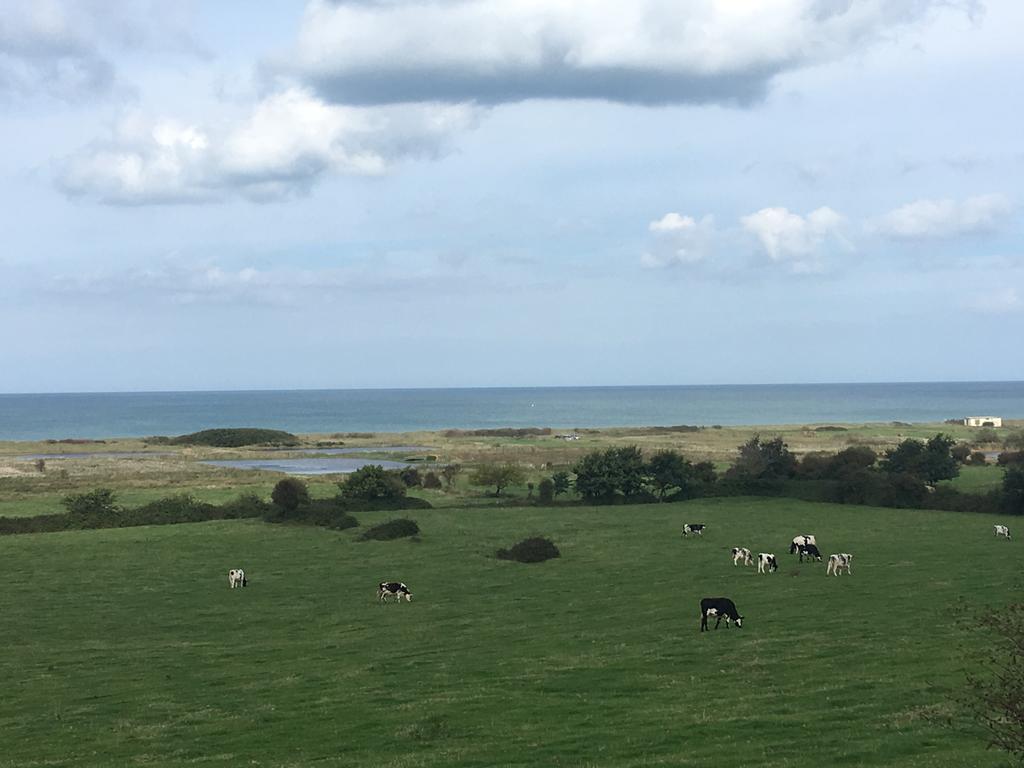 Le Mas Normand Ver-sur-Mer 外观 照片